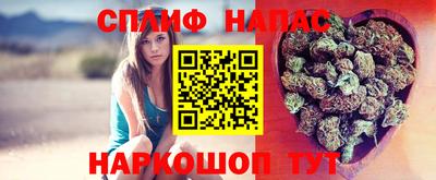 МДПВ Заволжье