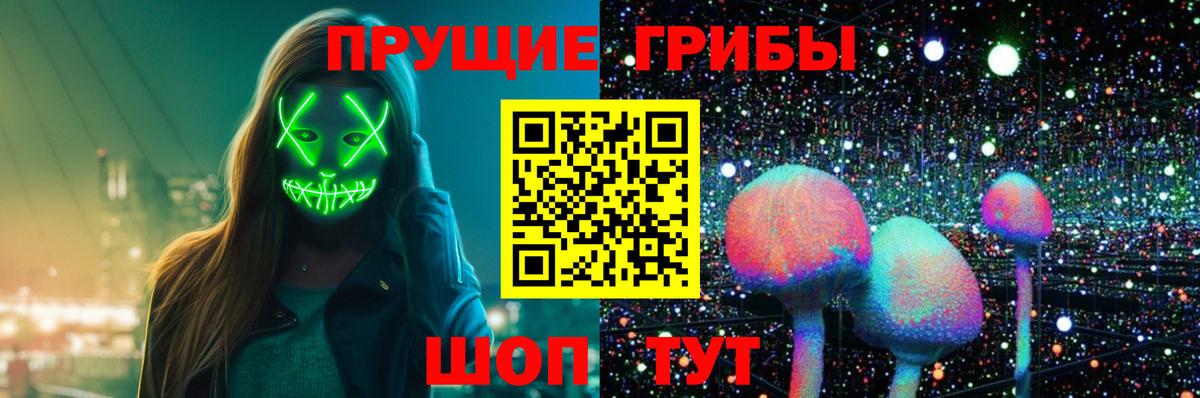 Галлюциногенные грибы Psilocybine cubensis  Вход с VPN  Ковров  Псилоцибиновые грибы Psilocybe 